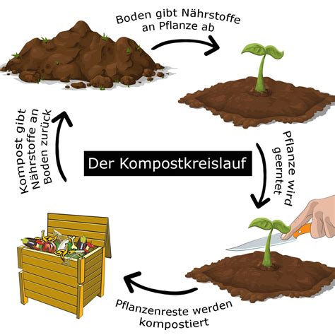 Wie die Kompostierung funktioniert